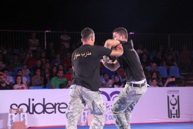 Martial Arts Festival